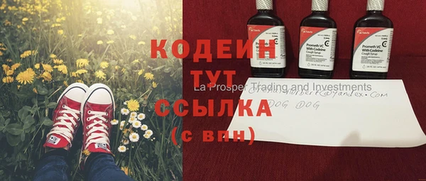 индика Верхний Тагил