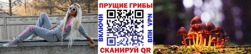 Галлюциногенные грибы Psilocybine cubensis  даркнет клад  Вышний Волочёк  купить  